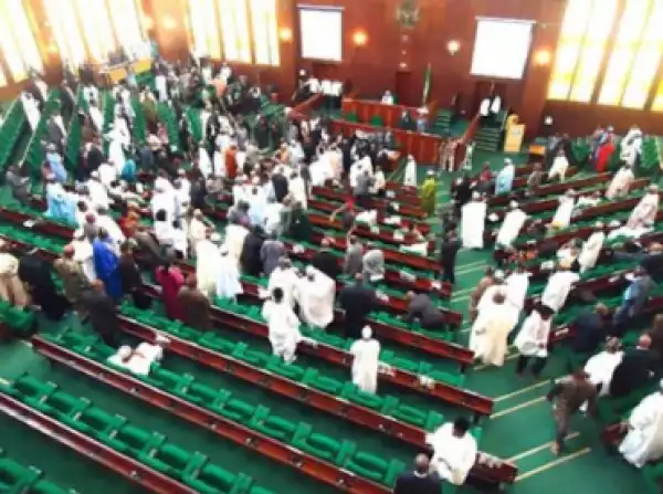 House Of Representatives Approves N30,000 As National Minimum Wage